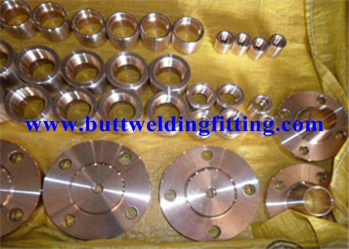 ANSI B16.5 Welding Neck Stainless Steel Forged Flanges For Petroleum , Construction