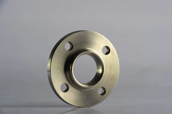 ANSI DIN EN BS JIS ISO Forged Steel Socket Weld Flange for Oil Gas Pipeline