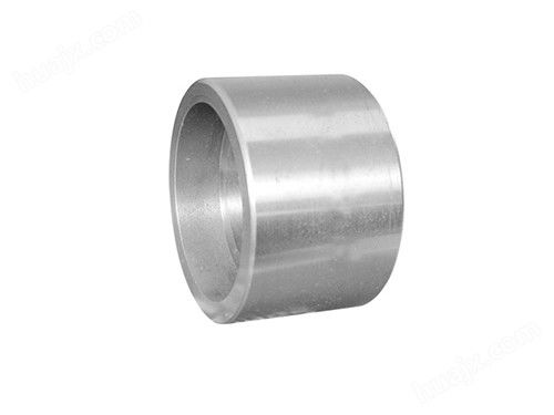 3000LB / 6000LB NPT Stainless Steel Pipe Socket Weld Fittings Forged Coupling
