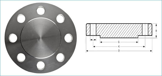 METAL SS316 300LB 600LB Blind Flange for Oil Gas Pipeline Engineering